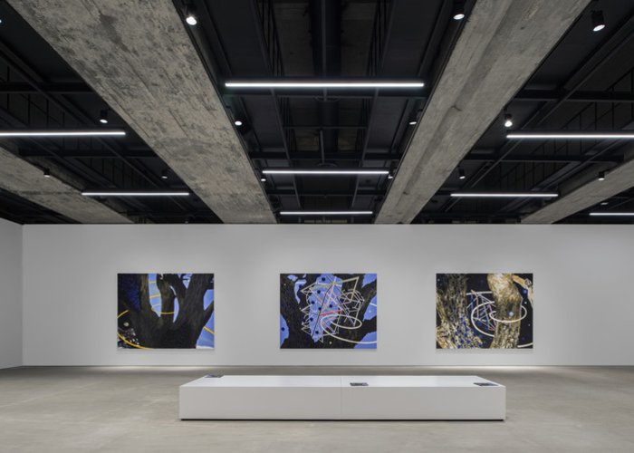 Saleh Barakat Gallery