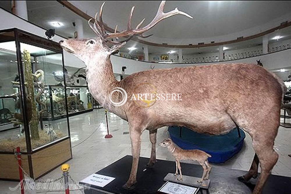 Hamedan Museum of Natural History