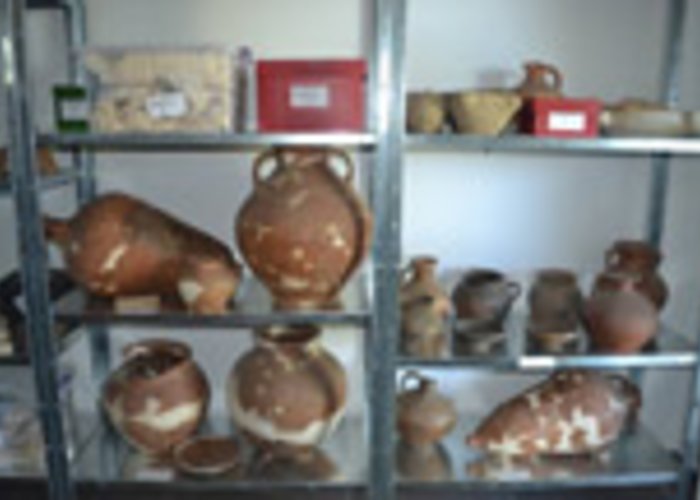 Vani Archaeological Museum-Reserve