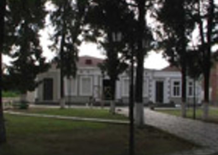 Zestaponi Local Museum
