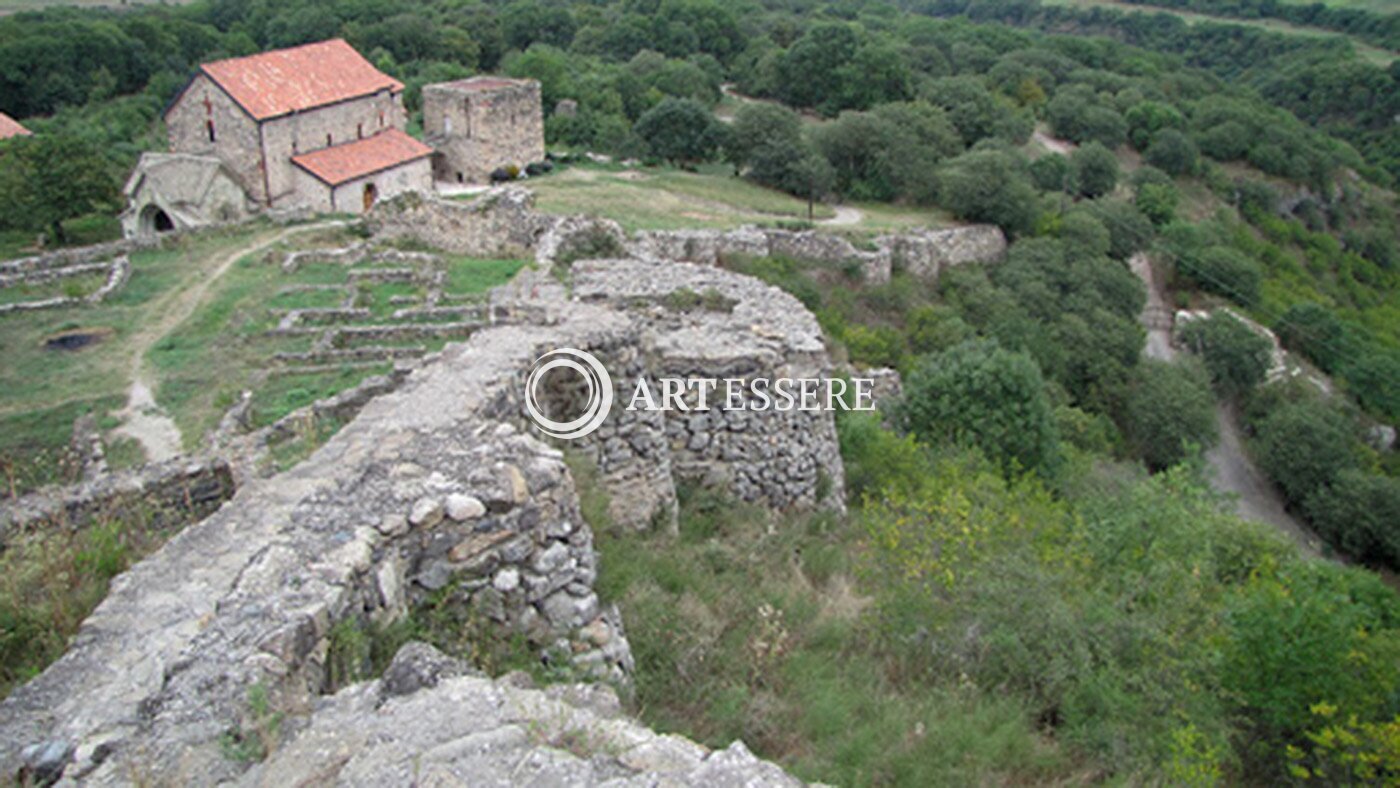 Dmanisi Historical and Architectural Museum-Reserve