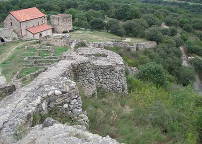 Dmanisi Historical and Architectural Museum-Reserve