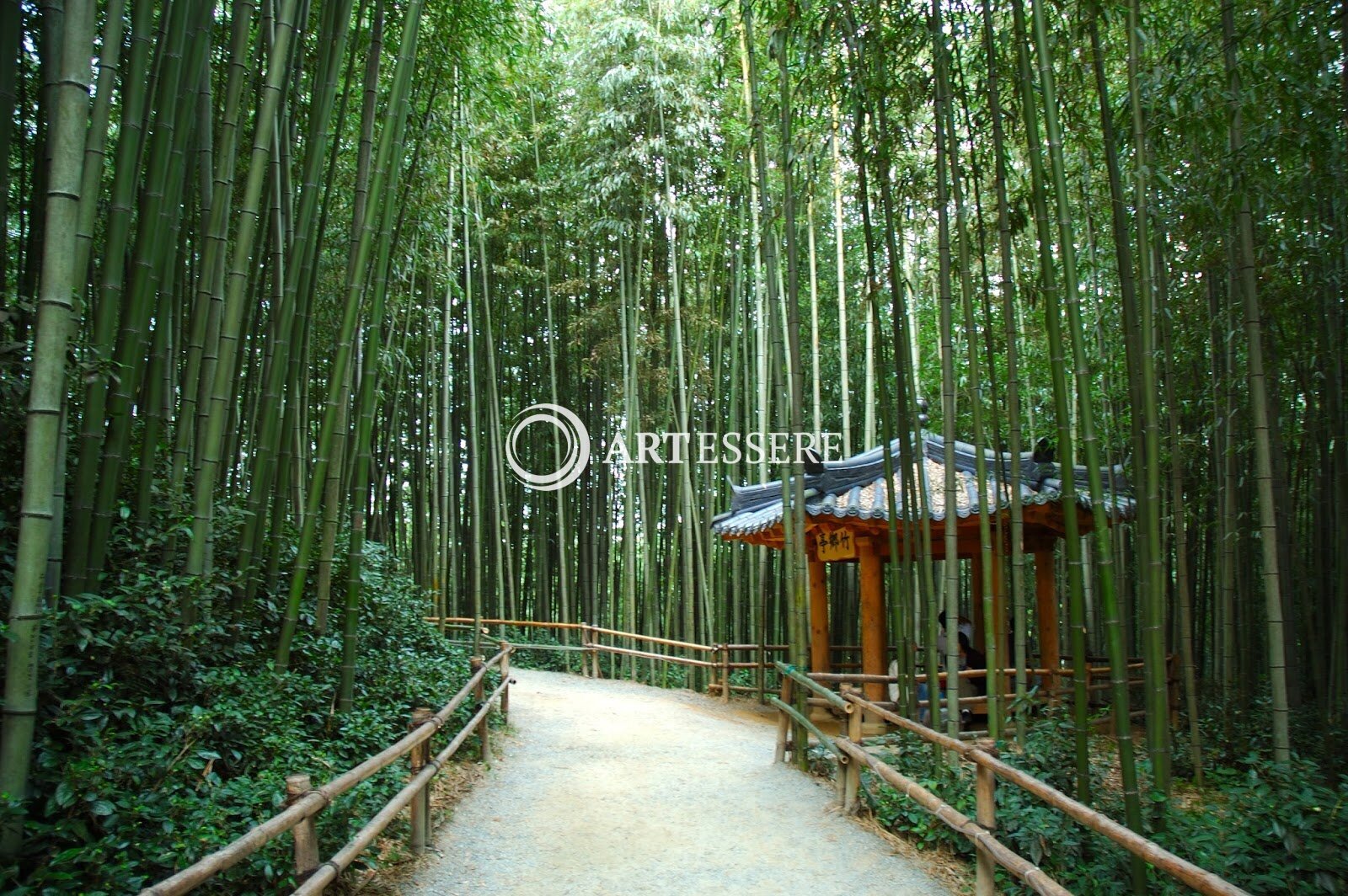 Bamboo Museum