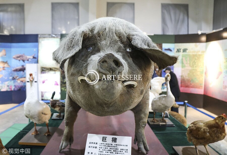 China Agricultural Museum