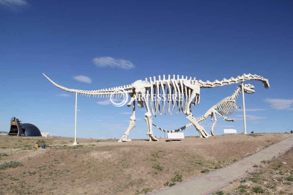 Dinosaur Museum of Erenhot