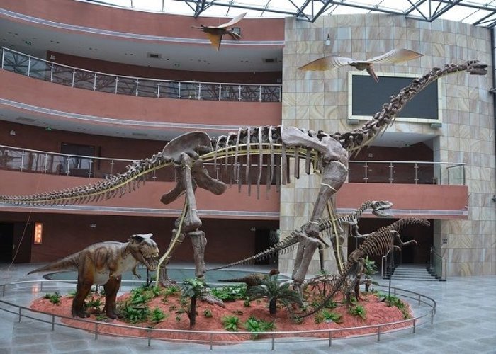 Heyuan Dinosaur Museum