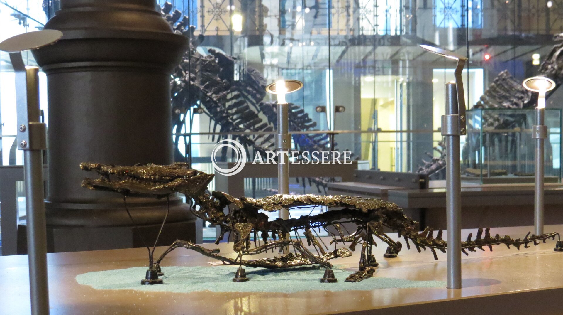 Shanwang Paleontology Museum