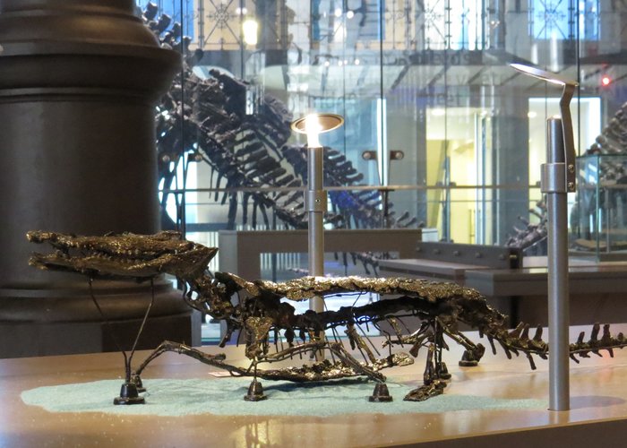 Shanwang Paleontology Museum