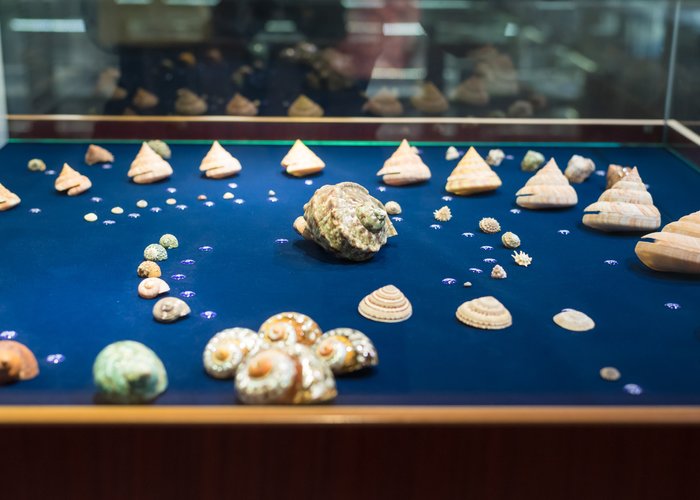 Qingdao Shell Museum