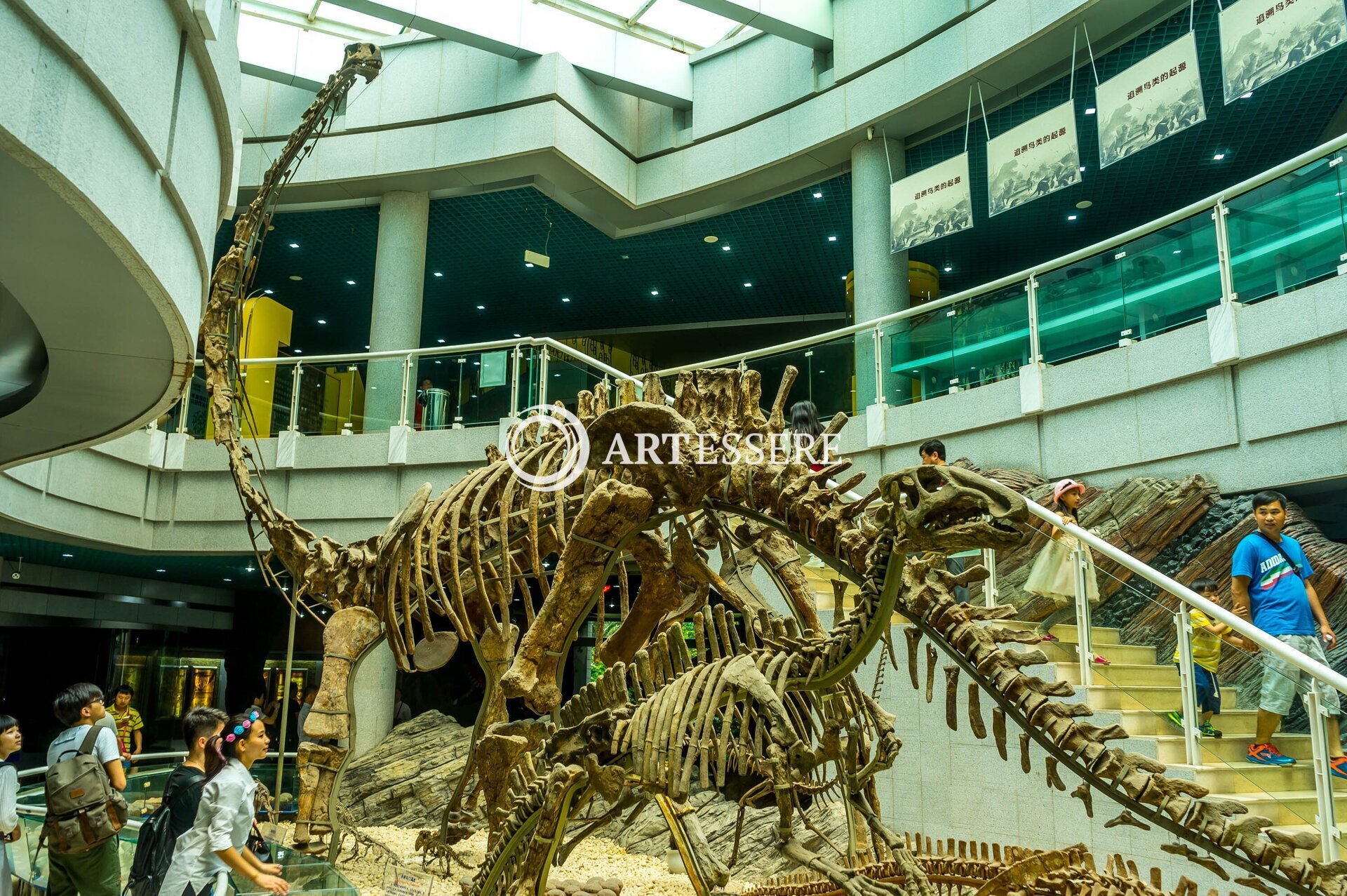 Shenzhen Paleontology Museum