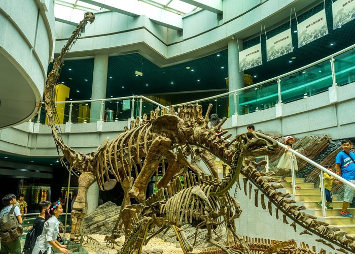 Shenzhen Paleontology Museum