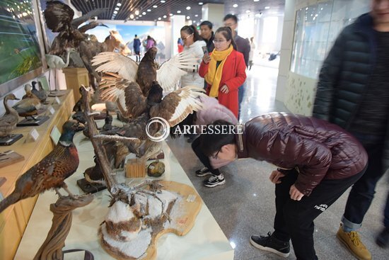 Specimen Museum of Ecology and Geography Institute, Chinese Academy of Sciences