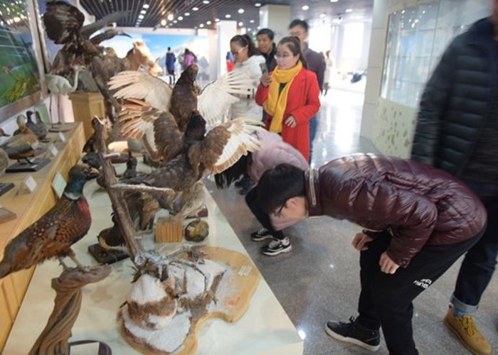 Specimen Museum of Ecology and Geography Institute, Chinese Academy of Sciences