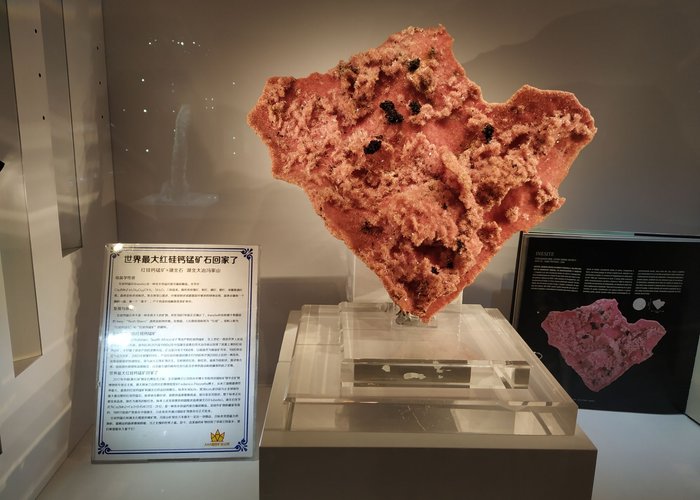 China University of Geosciences Museum