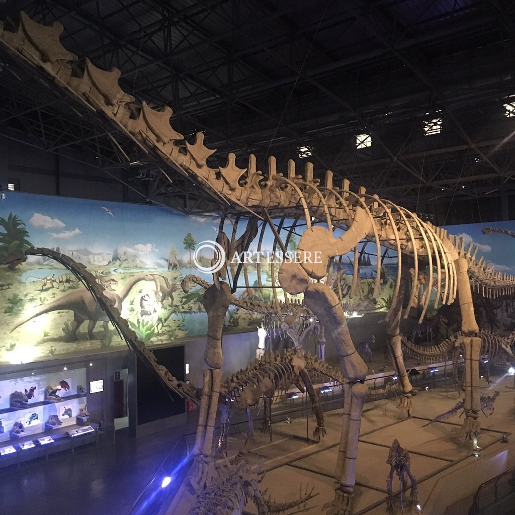 Dinosaur Egg Fossil Museum