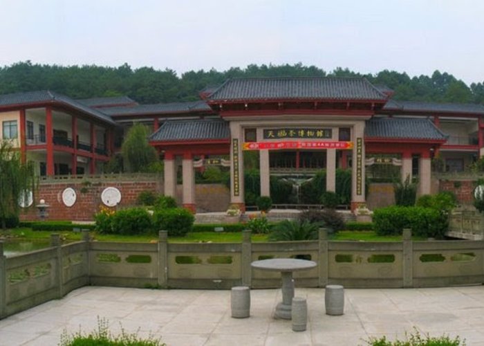 Tianfu Tea Museum