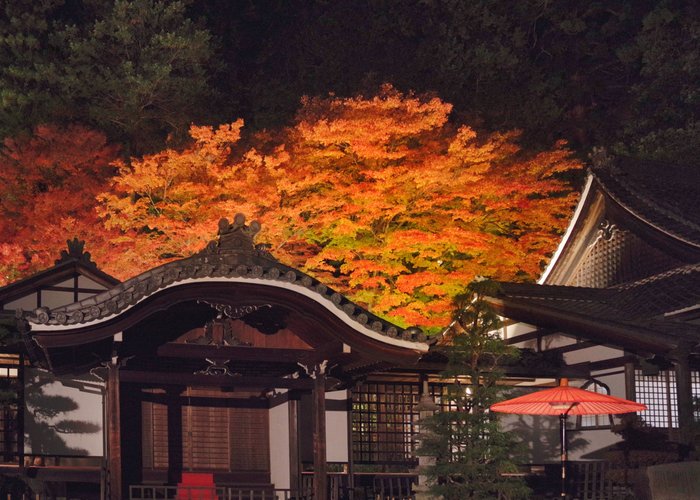 Gerohatsu Onsen Museum