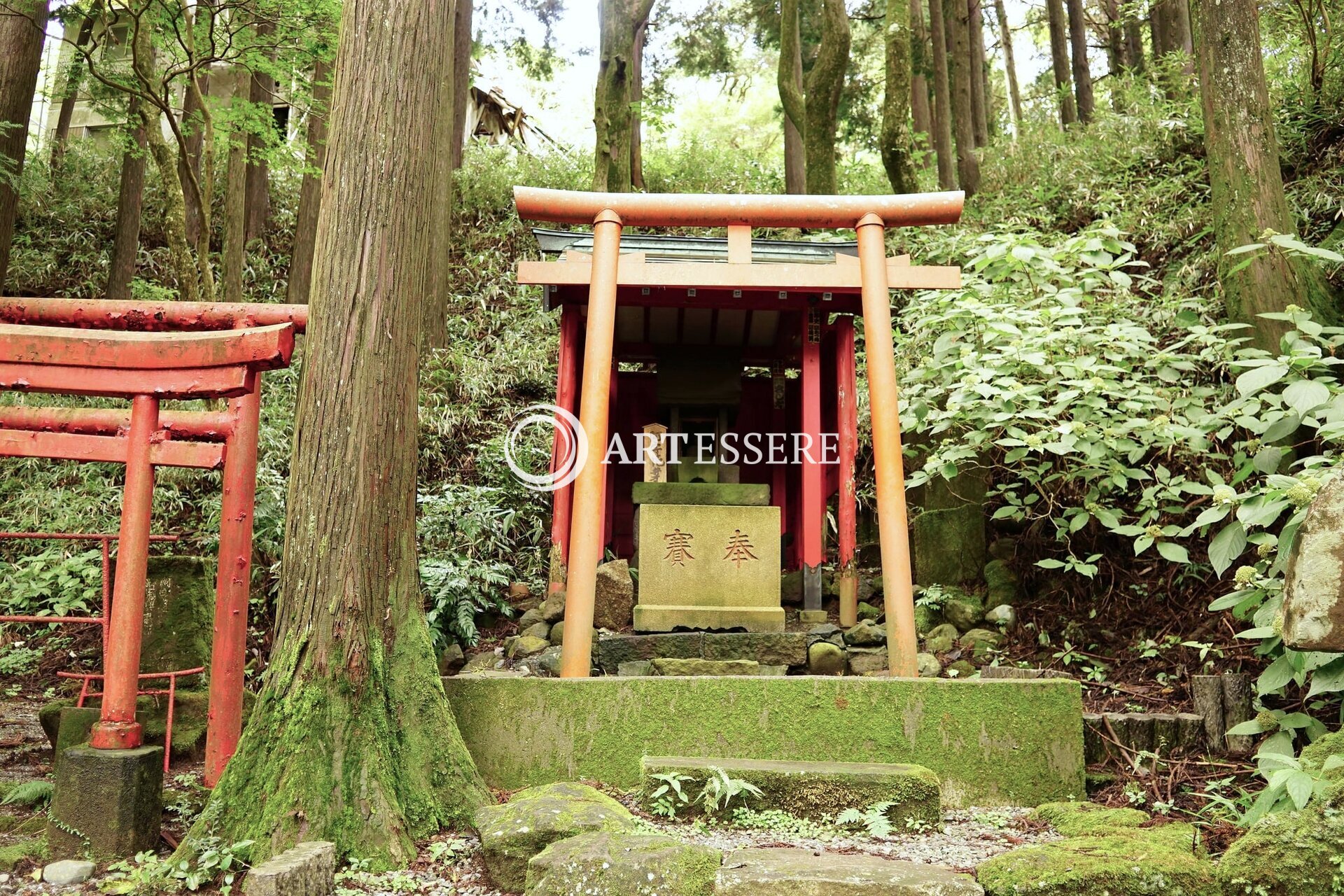 Dollhouse Museum Hakone