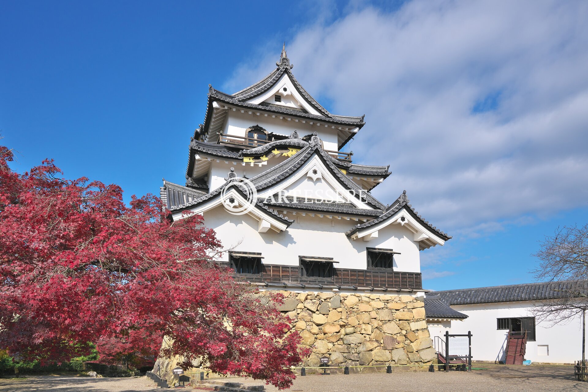 Hikone Castle Museum