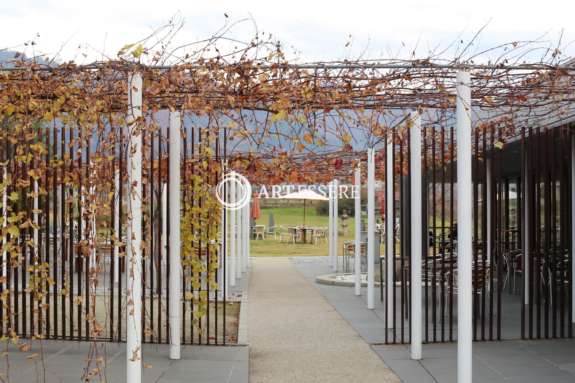 The Chateau Mercian Winery Museum