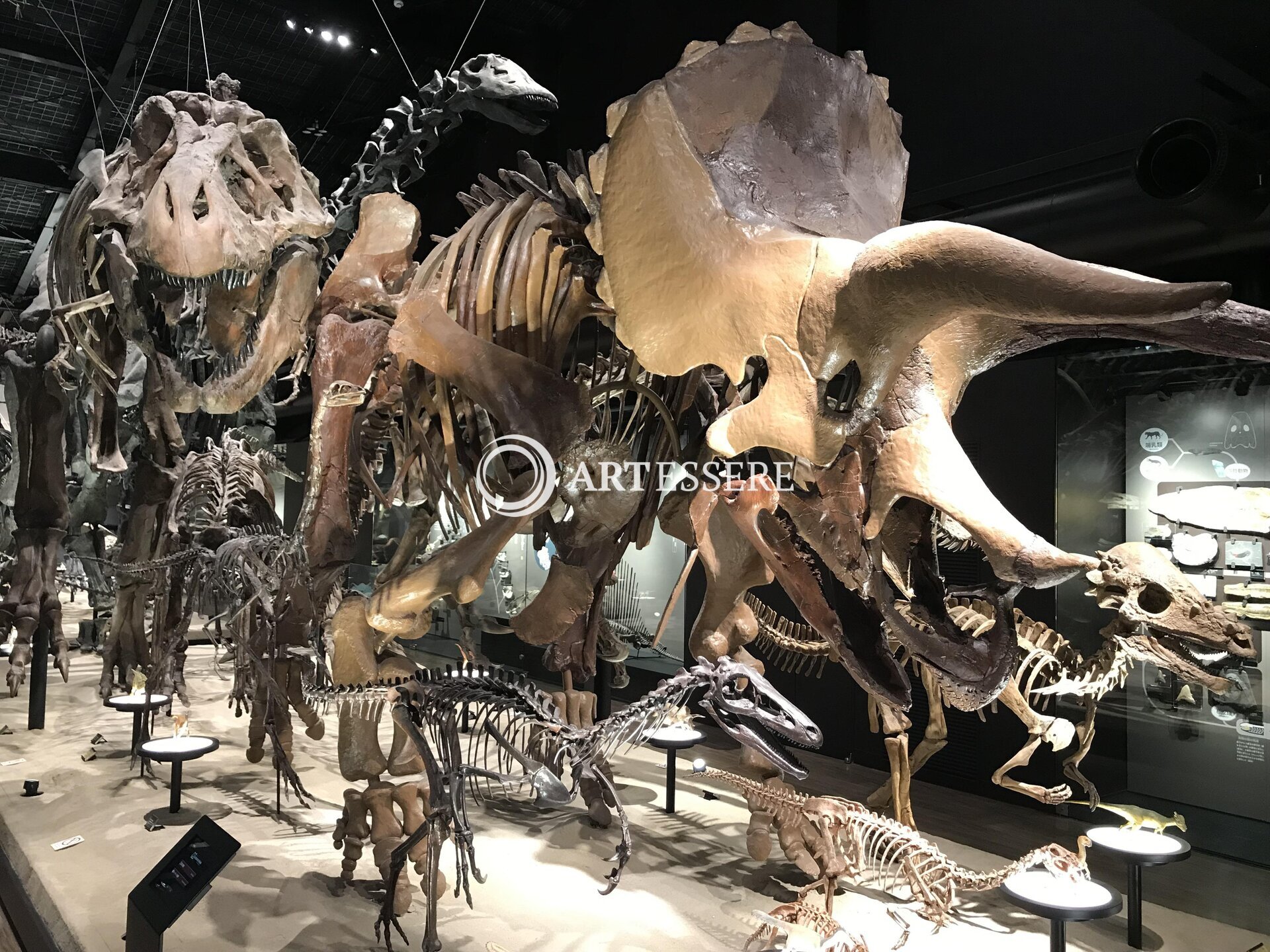 Mifune Dinosaur Museum