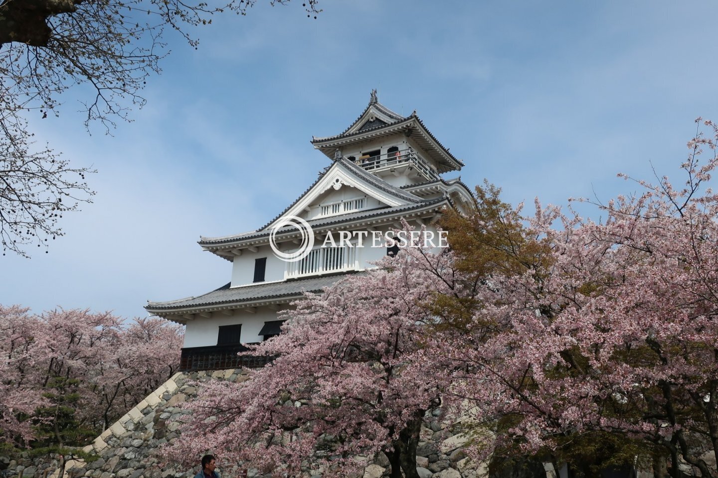 Nagahama Castle Historical Museum