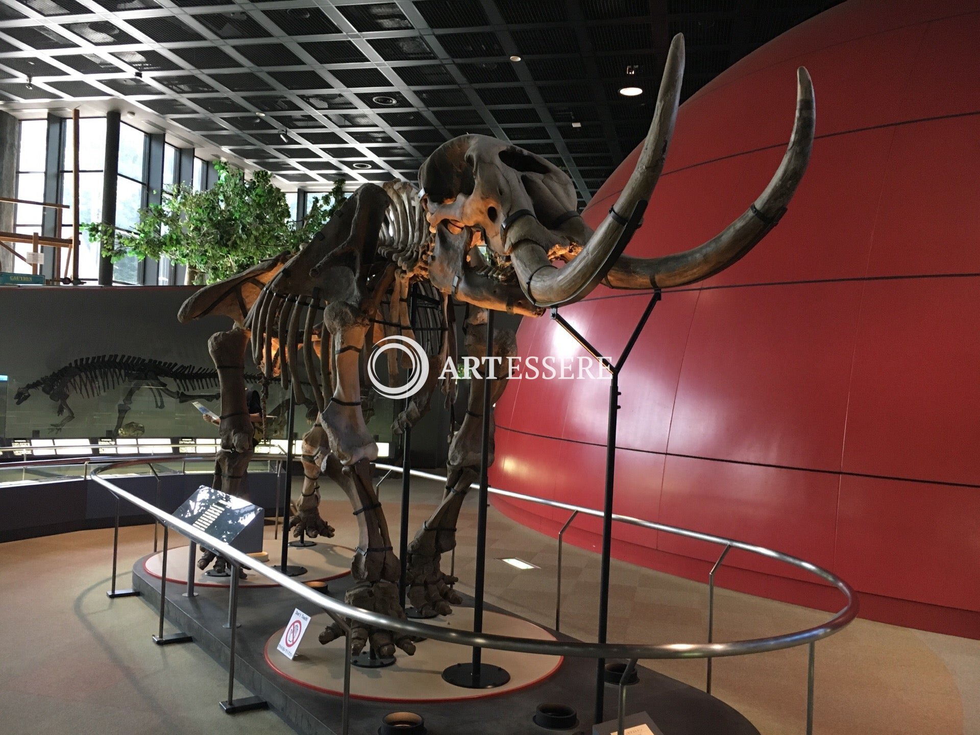 Hyogo Prefectural Operated Human and Nature Museum