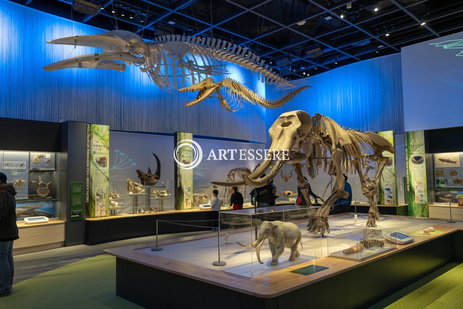 Toyohashi Museum of Natural History