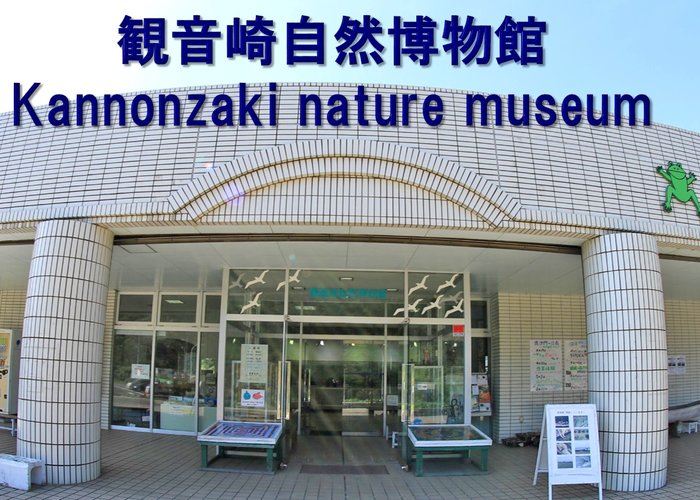 Kannonzaki Natural History Museum