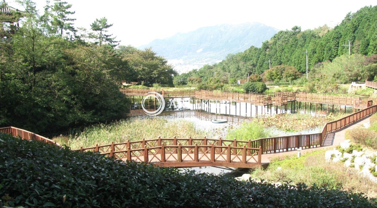 Jinhae Dream Park