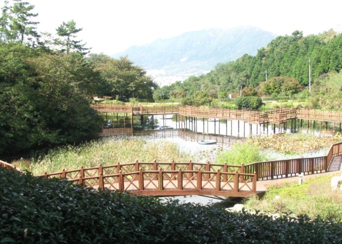 Jinhae Dream Park