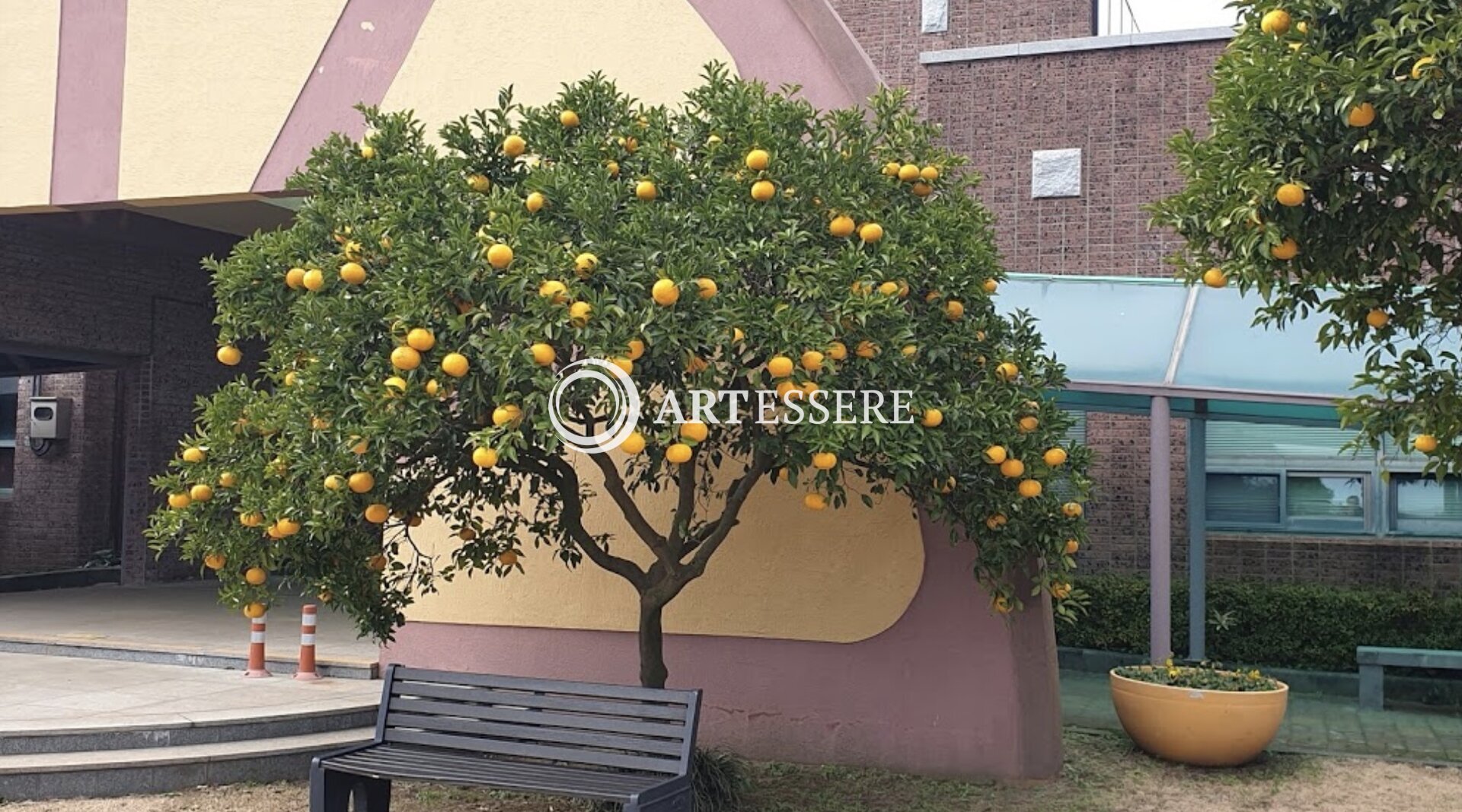 Citrus Museum