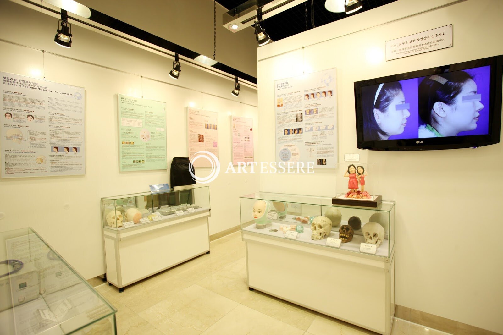 BK Plastic Surgery Museum