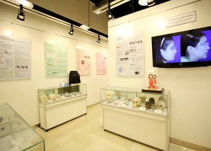 BK Plastic Surgery Museum