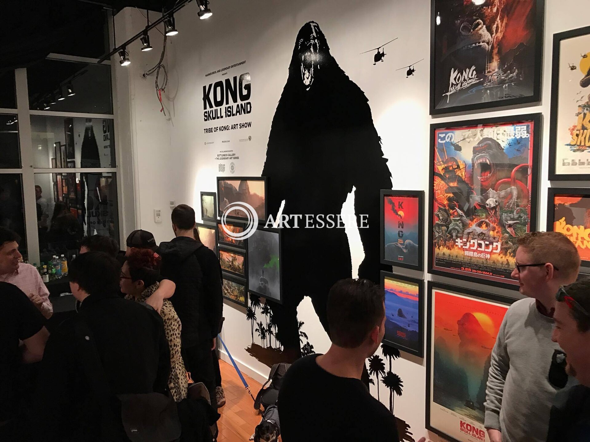 Gallery KONG