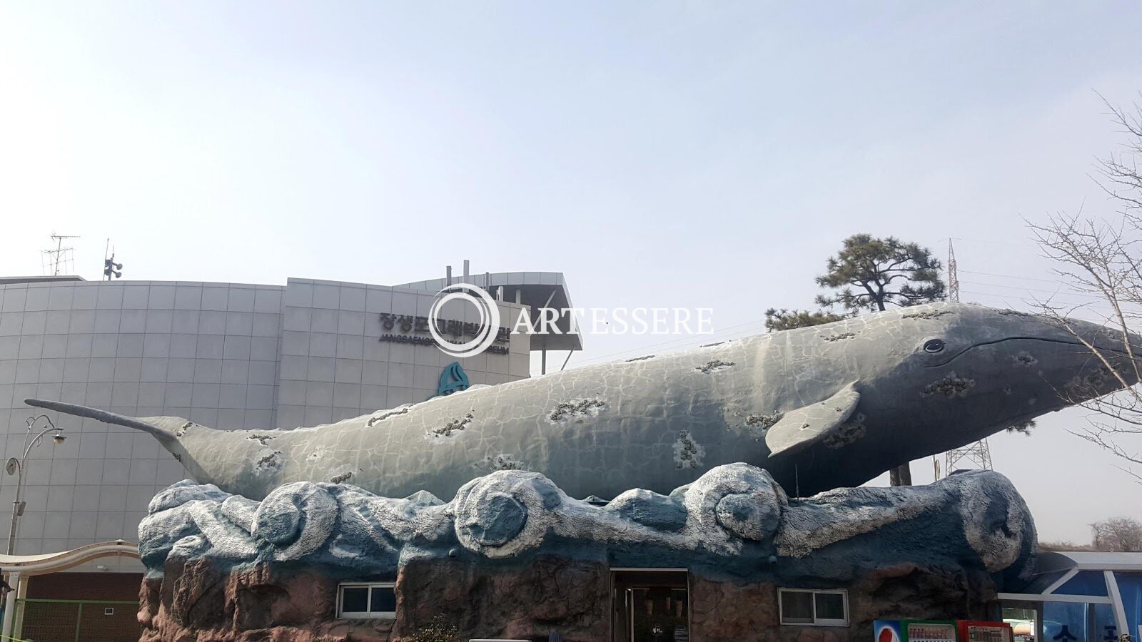 Jangsaengpo Whale Museum