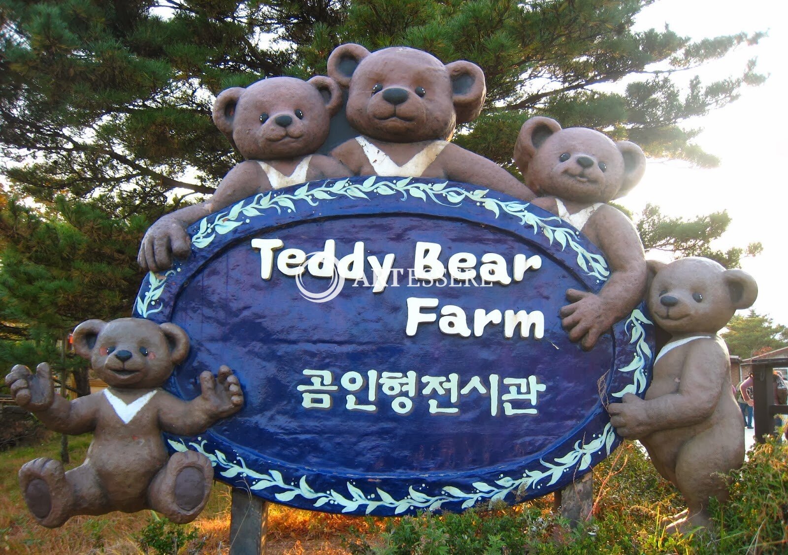 Teddy Bear Farm