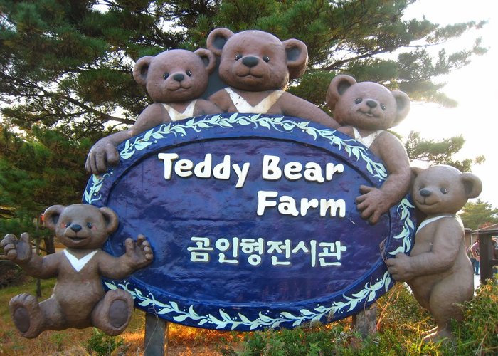 Teddy Bear Farm