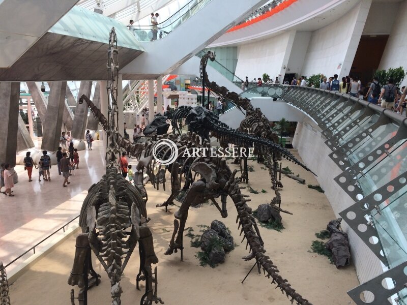 Tianjin Natural History Museum
