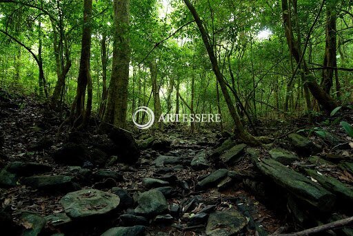 Agumbe Rainforest Research Station