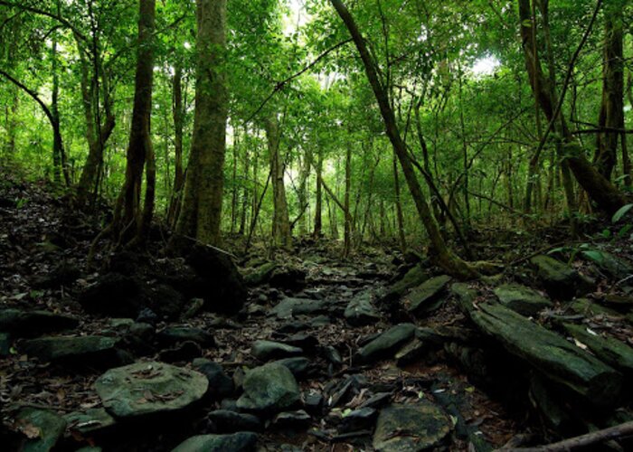 Agumbe Rainforest Research Station