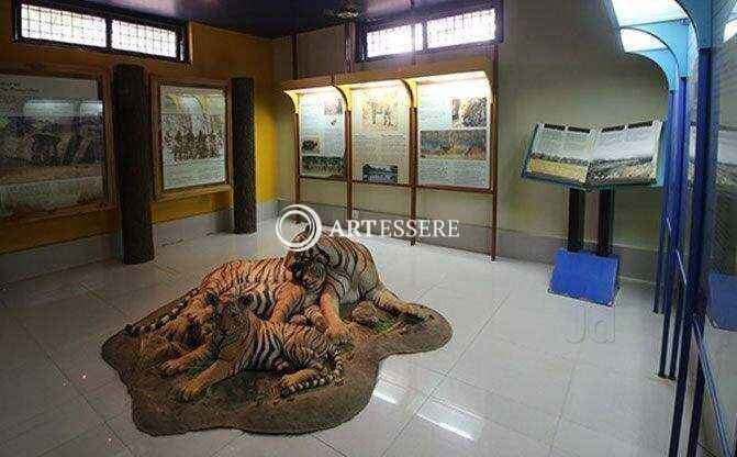 Kanha Museum