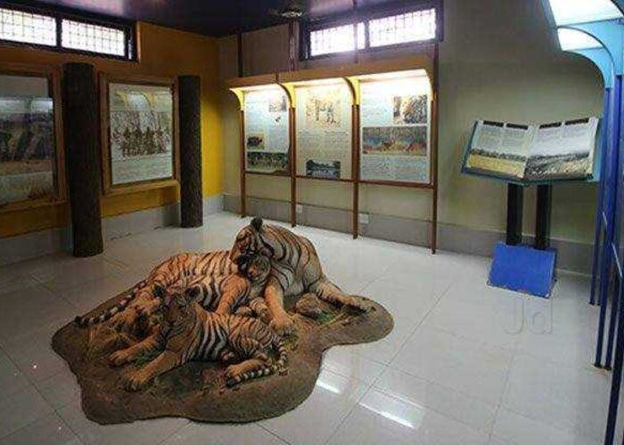 Kanha Museum