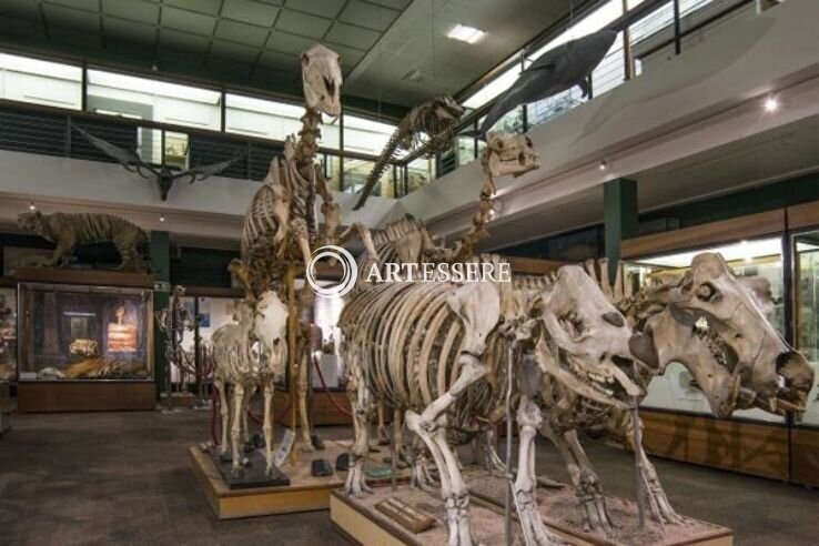 Zoology Museum