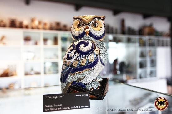 The Owl Museum