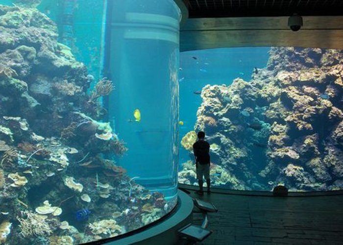 Marine Aquarium and Museum
