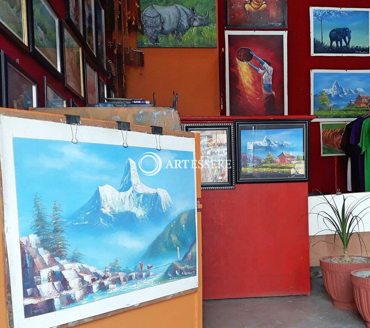 Sauraha Art Gallery