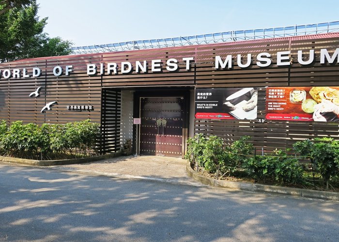 World of Birdnest Museum