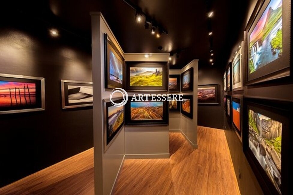 The Phuket Gallery