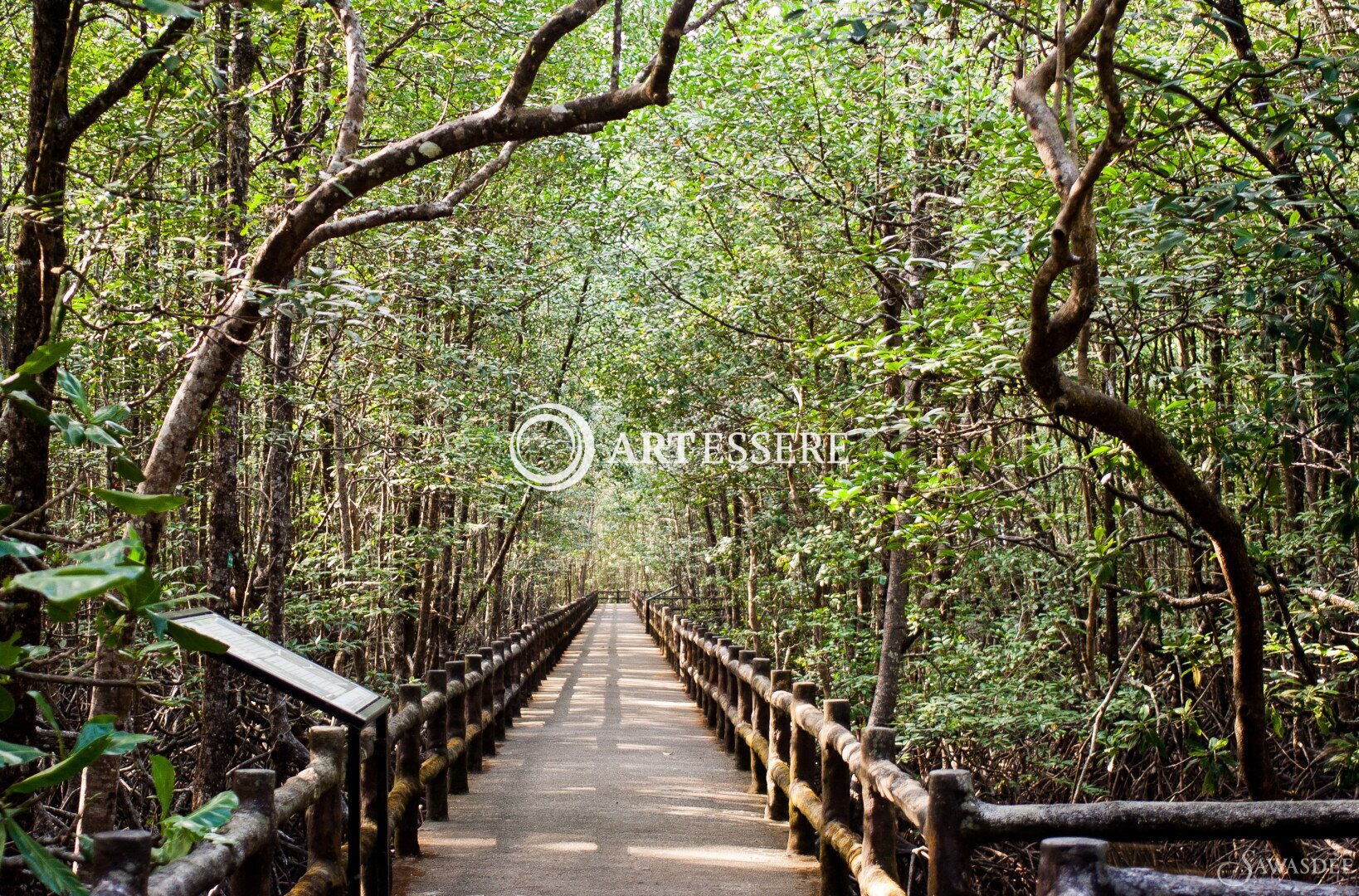 Ngao Mangrove Forest Research Centre